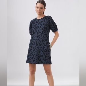 Velvet Tunic Style Dress
